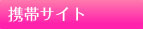 携帯サイト